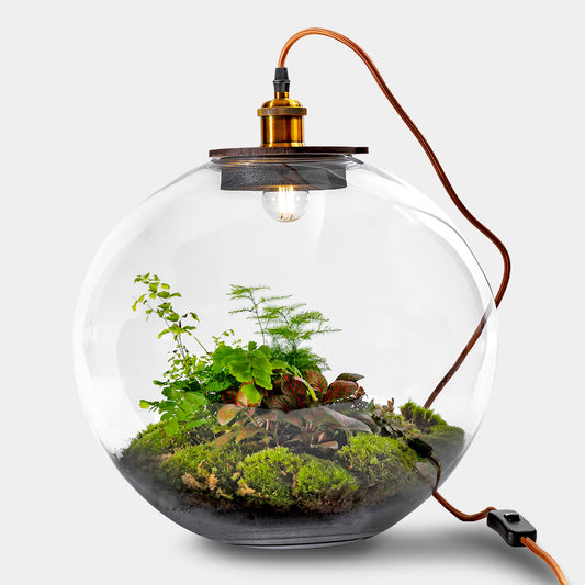 Demeter Botanical - Terrarium Met Lamp - 40Cm